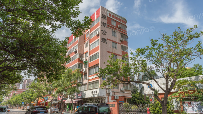 翠湖公寓外景图