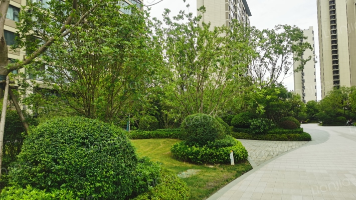 璀璨平江如苑外景图