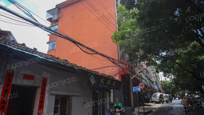 长堎镇育新路外景图