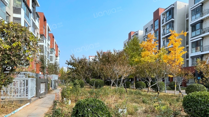 北京风景65号院外景图