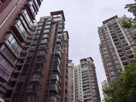 发现美院