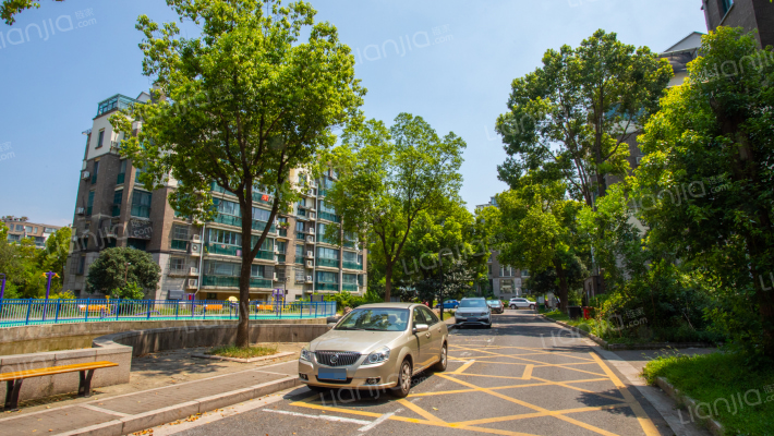 金山翠堤春晓外景图