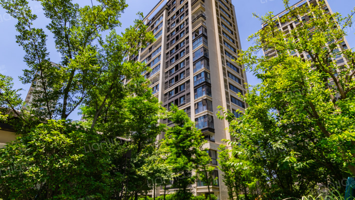 万科金域铭居外景图