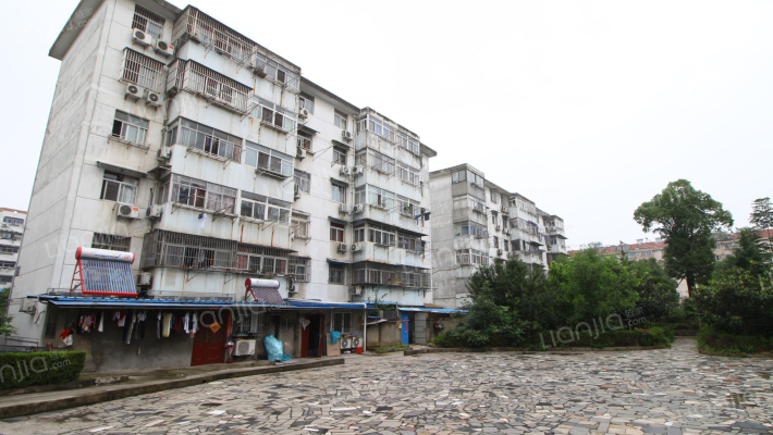 中心村78号外景图