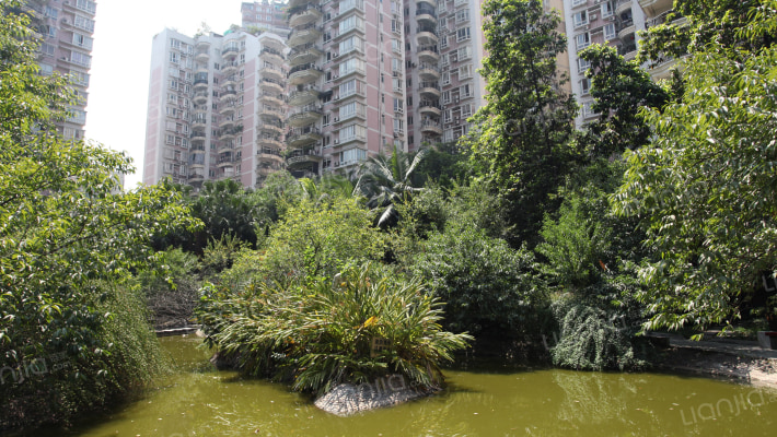 九鼎花园外景图