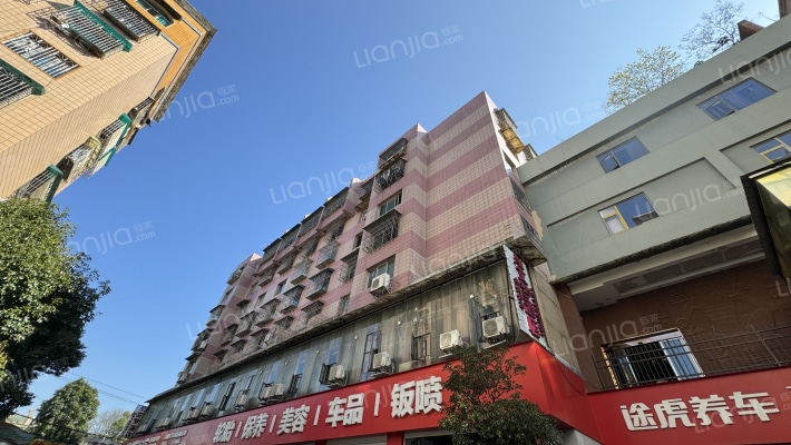 白云南路388号外景图