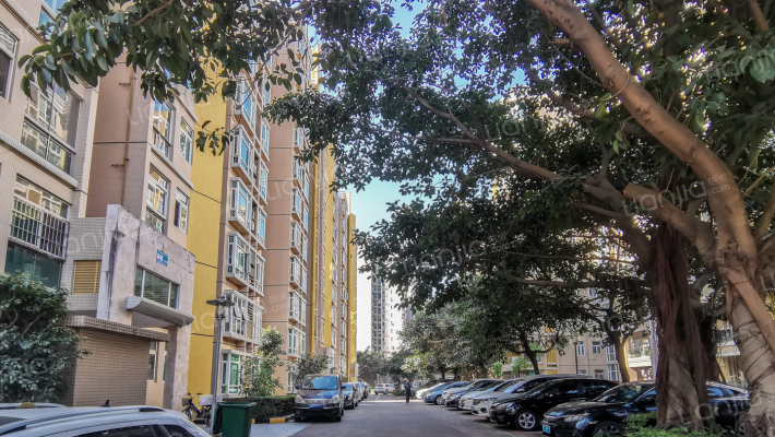 国华花园外景图