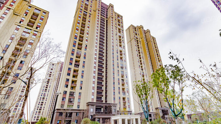 联投新安里B区外景图