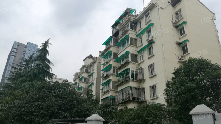 曲荷巷18号外景图