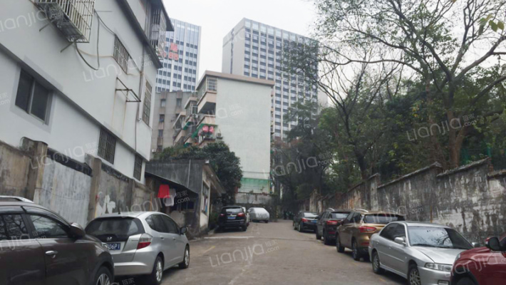 粤垦路红英街外景图