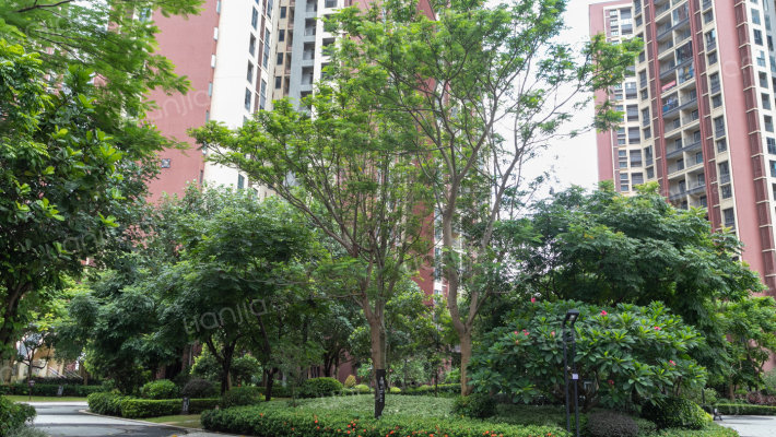 保利阳光城二期外景图