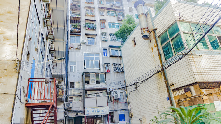 同心路54号外景图