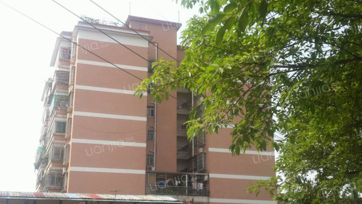 岑村路334号宿舍外景图