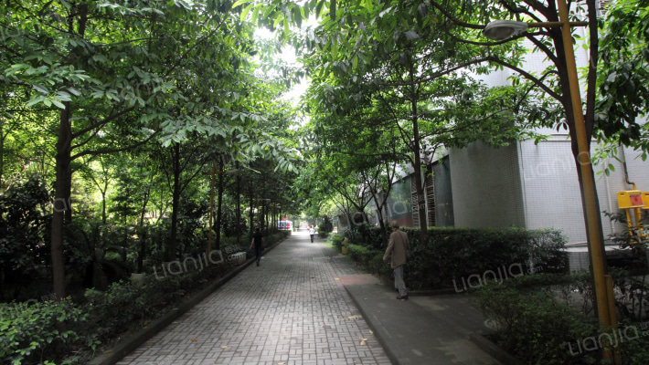 嘉华鑫城外景图