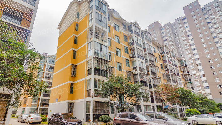 滨湖春天外景图