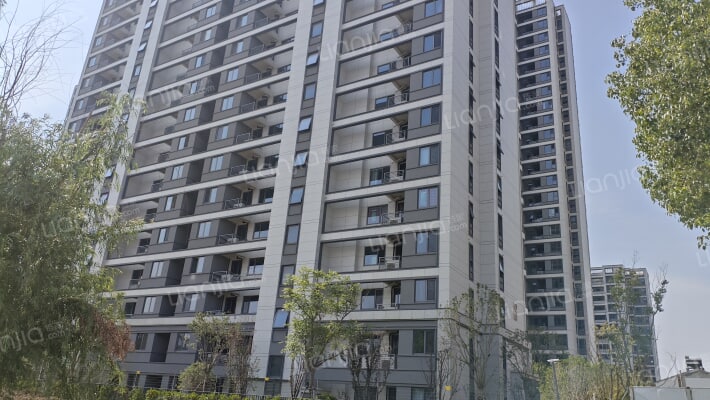 星河胥江新著外景图