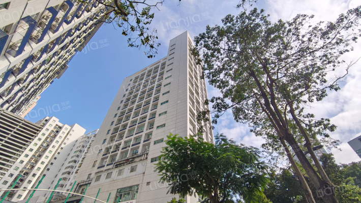 罗湖医院医疗科技楼外景图