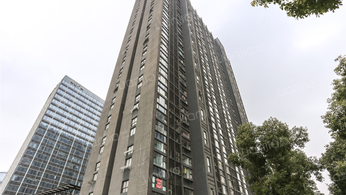 合景峰汇十一期外景图