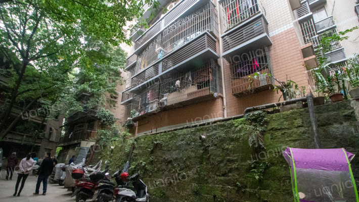 图强村443号外景图