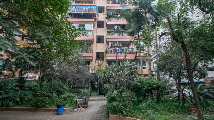 川仪厂家属院外景图