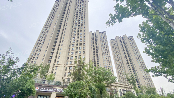 新华九龙首府外景图