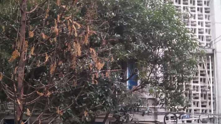 十二桥路32号外景图