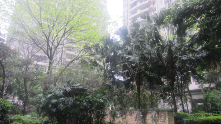 世纪阳光小区（南岸）外景图