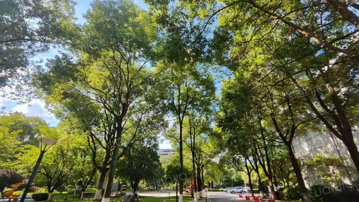 锦园小区外景图