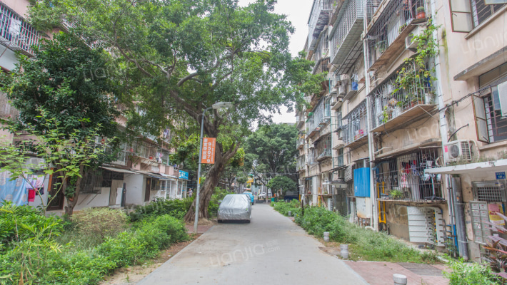 槟榔西里双号区外景图