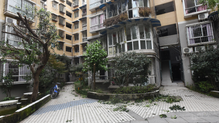 金易星辰外景图