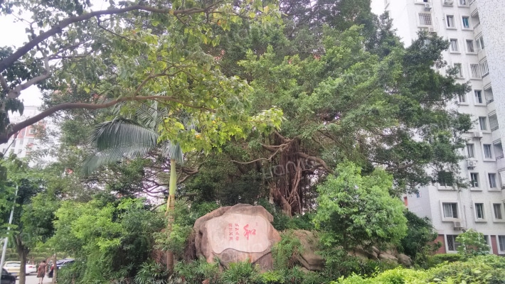 前埔南小区二区外景图