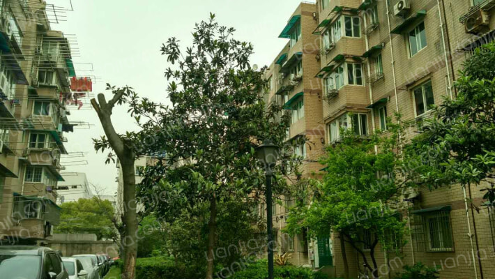 永清路337弄外景图