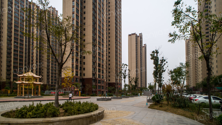 龙兴嘉苑2号院外景图