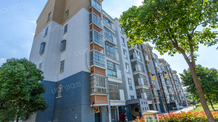 龙桥新村外景图