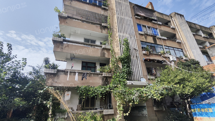 金龙路117号附15号外景图