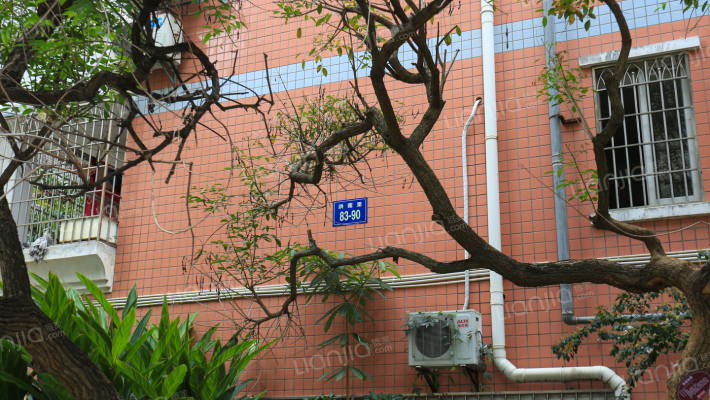 新潘宅小区外景图