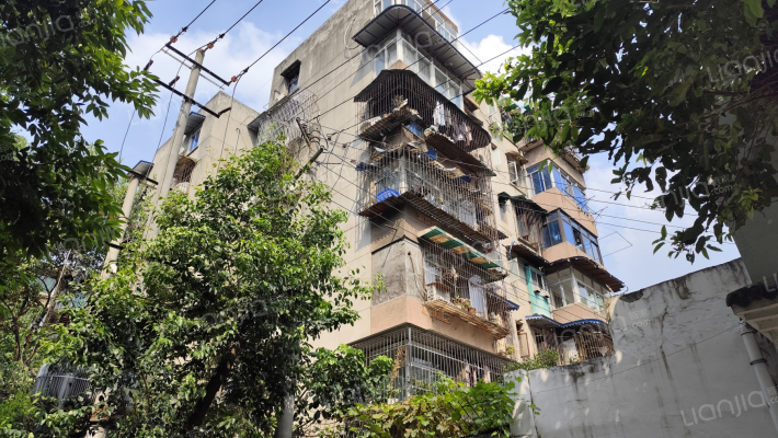 文家东巷8号外景图