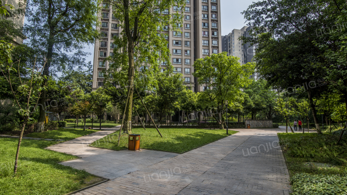 隆鑫花漾岭外景图