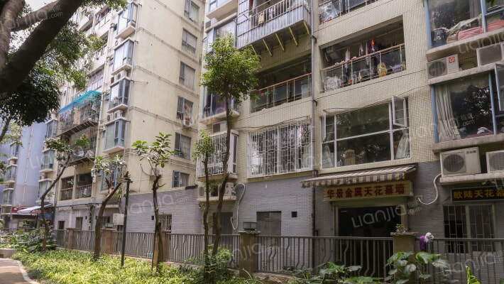 红树家邻外景图