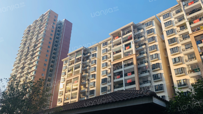 麗港豪園外景图