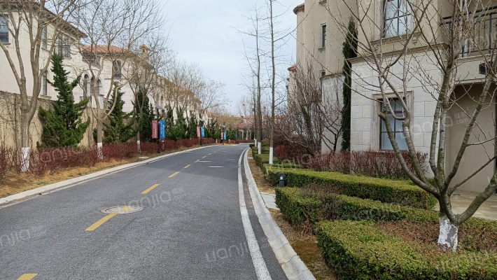 德嘉与海外景图