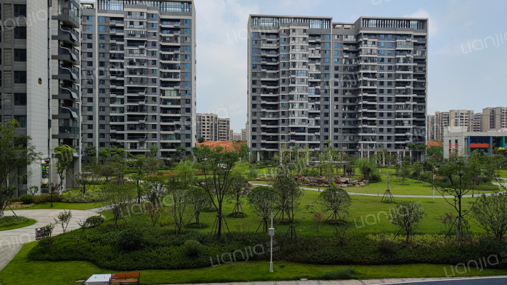 城投大桥龙城外景图