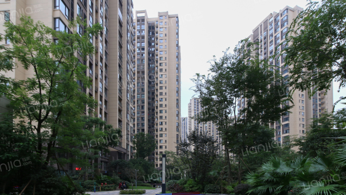 新鸥鹏教育城一期外景图