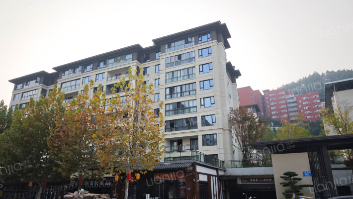 海成天生天城E区外景图