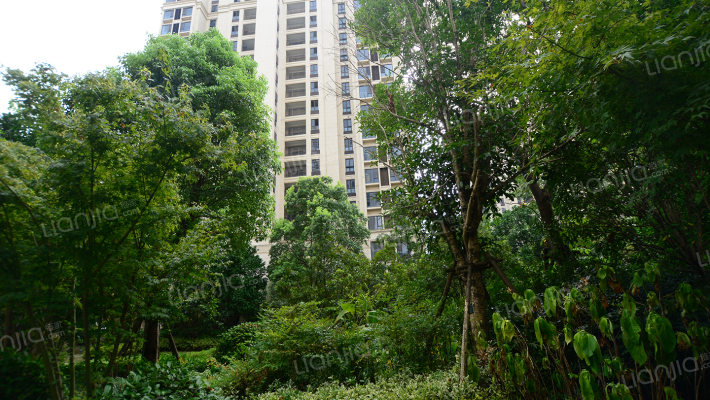 九龙仓兰廷外景图