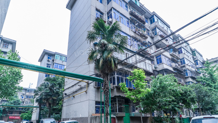 试剂厂西院外景图