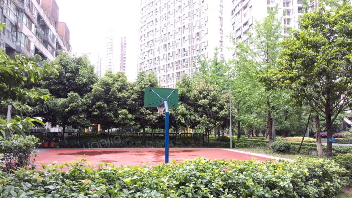 中冶林荫大道外景图