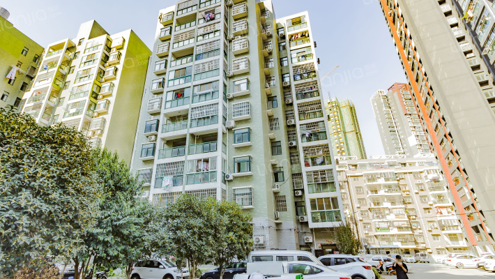 天下壹品莲花外景图