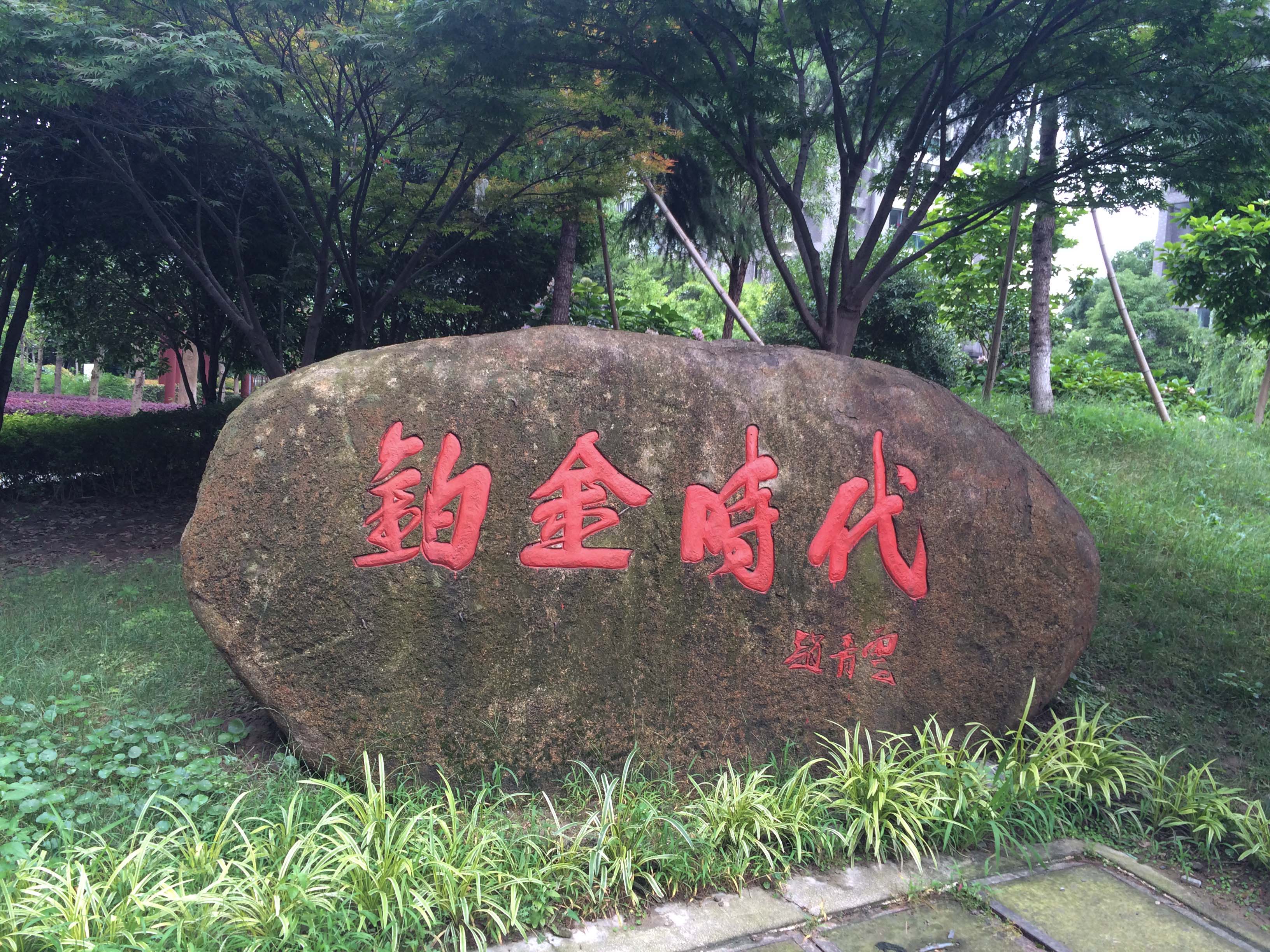 铂金时代小区实景 14