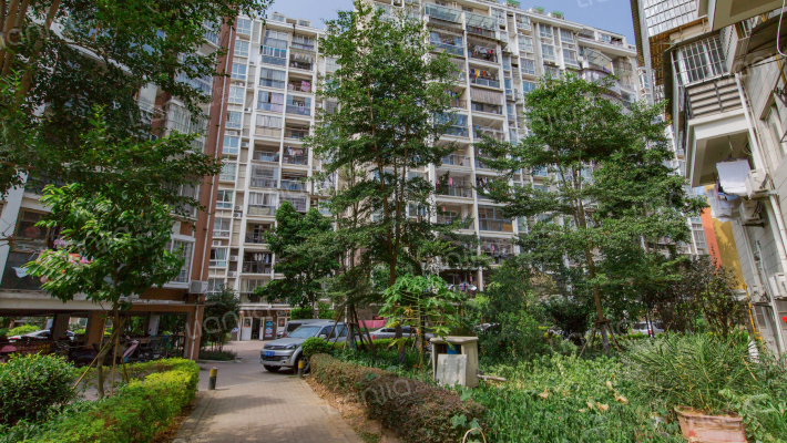 都会华彩外景图